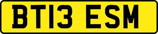 BT13ESM