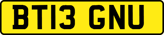 BT13GNU