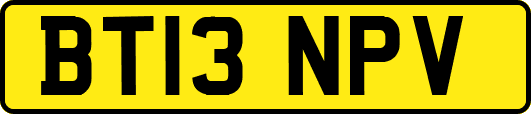 BT13NPV
