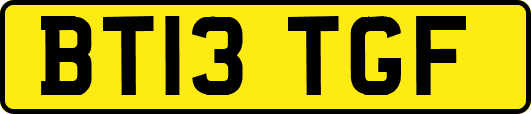 BT13TGF