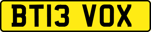 BT13VOX