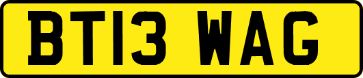 BT13WAG