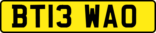 BT13WAO