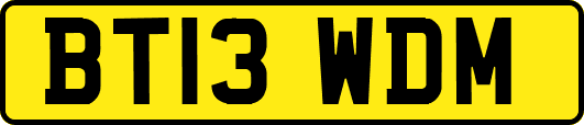 BT13WDM