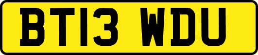 BT13WDU