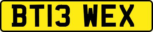 BT13WEX