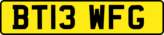 BT13WFG