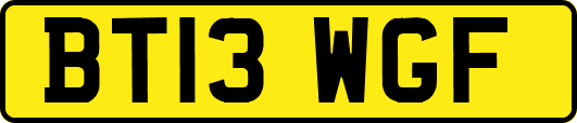 BT13WGF
