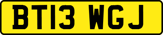 BT13WGJ
