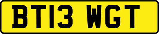 BT13WGT