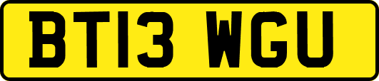 BT13WGU