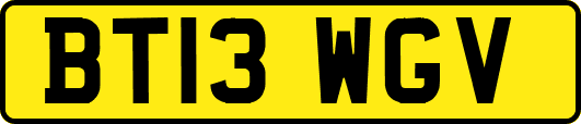 BT13WGV