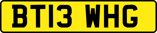 BT13WHG