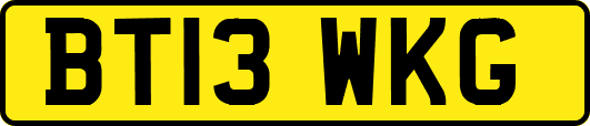 BT13WKG