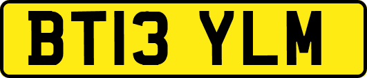 BT13YLM