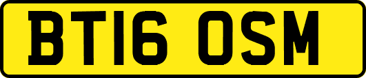 BT16OSM