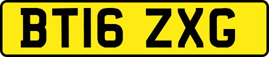BT16ZXG