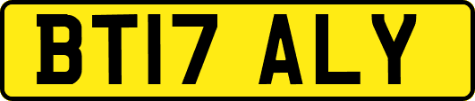 BT17ALY