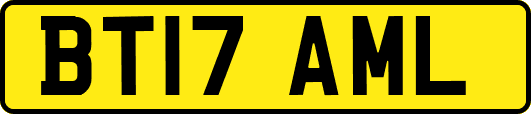 BT17AML