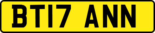 BT17ANN