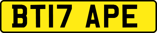 BT17APE