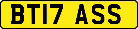 BT17ASS
