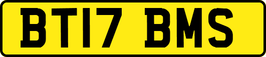 BT17BMS