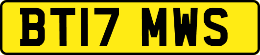 BT17MWS