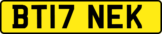 BT17NEK
