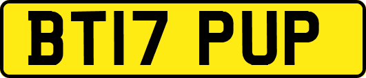 BT17PUP