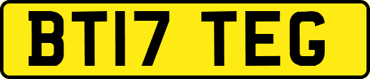 BT17TEG