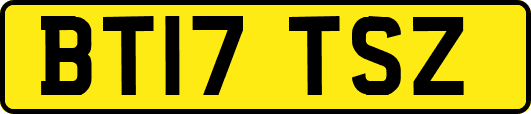 BT17TSZ