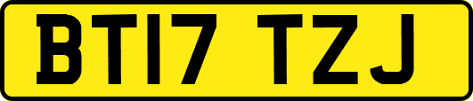 BT17TZJ