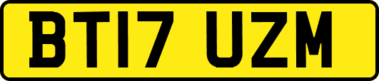 BT17UZM