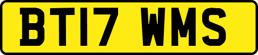BT17WMS