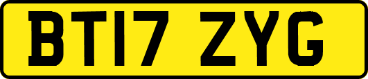 BT17ZYG