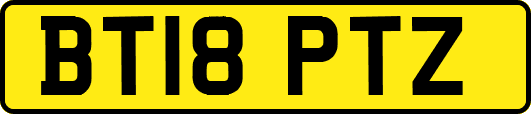 BT18PTZ