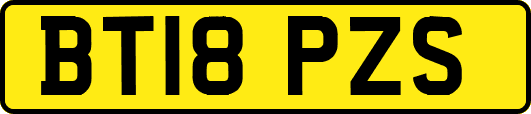 BT18PZS
