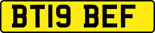 BT19BEF