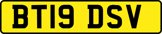 BT19DSV
