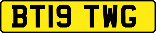 BT19TWG