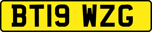 BT19WZG