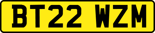 BT22WZM