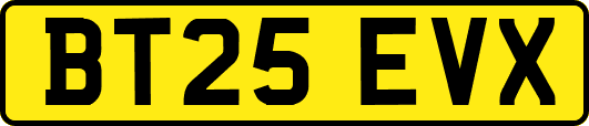 BT25EVX