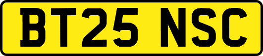 BT25NSC