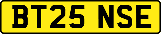 BT25NSE