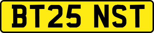 BT25NST