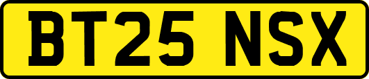 BT25NSX