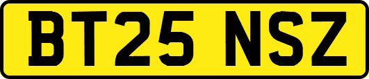 BT25NSZ