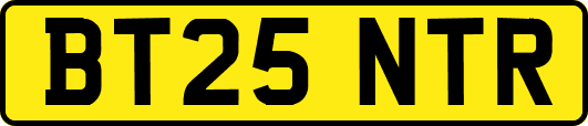 BT25NTR